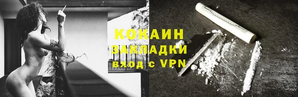 индика Балабаново