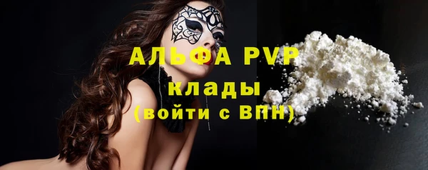сатива Баксан