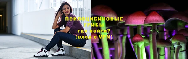 индика Балабаново