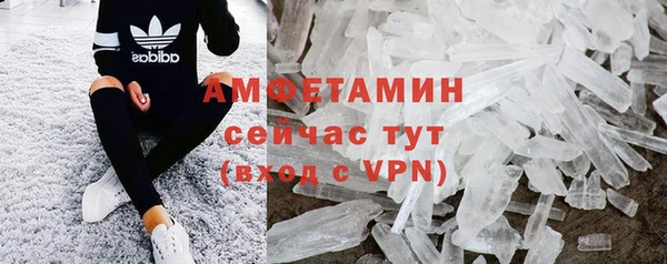 сатива Баксан