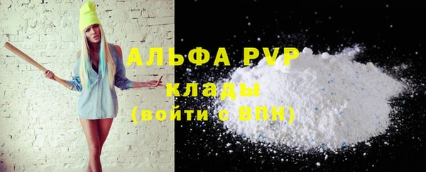 индика Балабаново