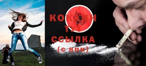 сатива Баксан