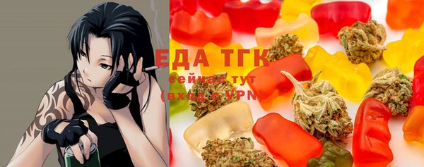 индика Балабаново